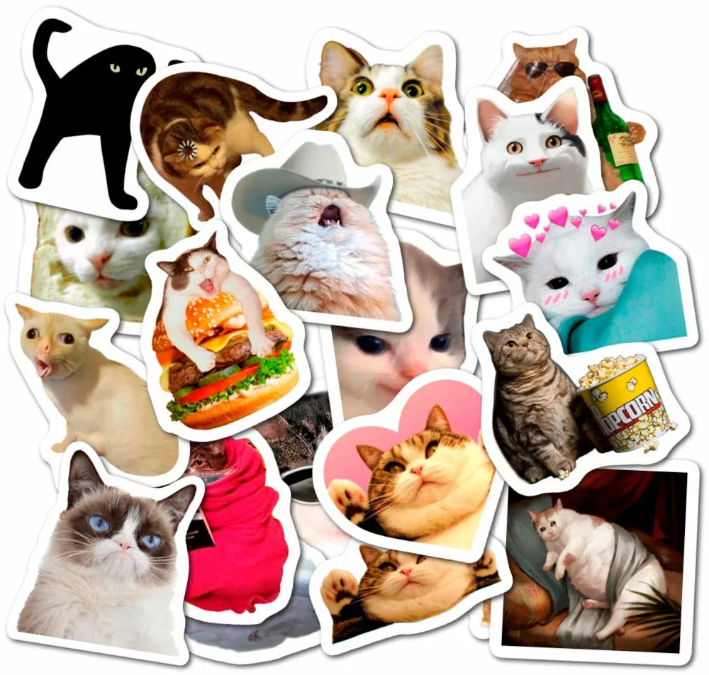 Котики Мемы / The Cats: Memes - Наклейки на телефон - Sticker Universe